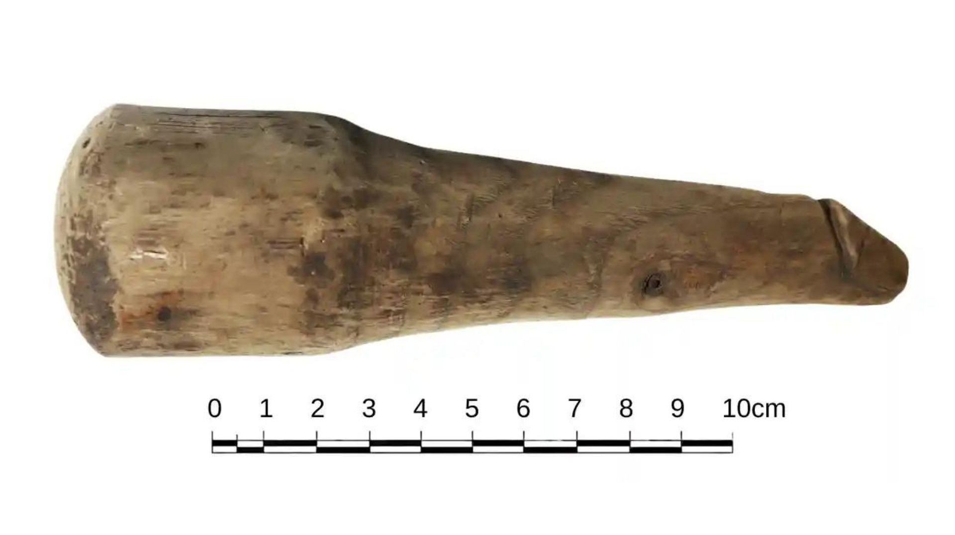 Wood You Believe It 2000 Year Old Sex Toy Found At Vindolanda Roman Fort In Northumberland