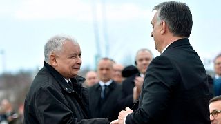 Polonya'da iktidar partisi lideri Jaroslaw Kaczynski (solda) ile Macaristan Başbakanı Orban