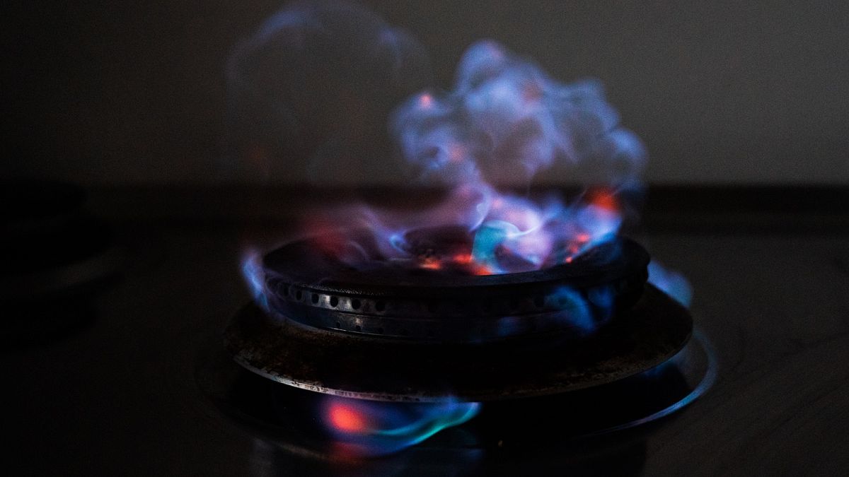 The EU gas consumption dropped by 19.3% between August and January, according to Eurostat.