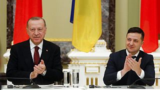  Cumhurbaşkanı Recep Tayyip Erdoğan ve Ukrayna Devlet Başkanı Vladimir Zelenskiy (arşiv)