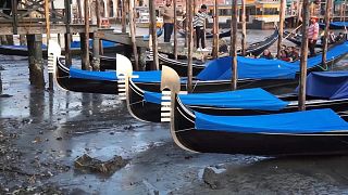 Venetian gondolas beached on the side of a canal