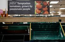 Prateleiras de tomate vazias num supermercado em Londres.