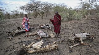 La Corne de l'Afrique de plus en plus menacée par la famine