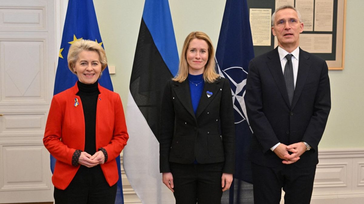 Ukrayna'ya savaşın birinci yılında AB ve NATO'dan destek mesajı