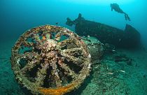 Les plongeurs peuvent explorer des épaves historiques au parc sous-marin historique Gallipoli de Çanakkale.