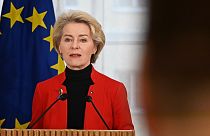 European Commission President Ursula von der Leyen said the Chinese proposal was a set of "principles" rather than a peace plan.