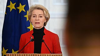 European Commission President Ursula von der Leyen said the Chinese proposal was a set of "principles" rather than a peace plan.