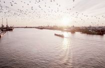 Der Hafen Antwerpen-Brügge strebt Klimaneutralität bis 2050 an