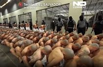 باندها و گروهای تبهکار زندانی السالوادور