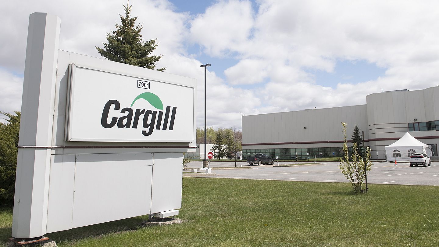 أرباح استثنائية لأربع شركات كبرى تسيطر على تجارة الحبوب في العالم | Euronews