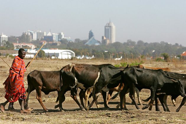 Kenya : les moyens de subsistance de villageois éradiqués par la sécheresse