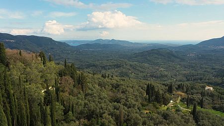 Secret Greece: Picturesque stone villages and olive oil with health benefits