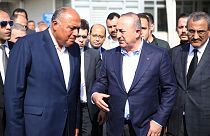 Mısır Dışişleri Bakanı Samih Şukri ile Dışişleri Bakanı Mevlüt Çavuşoğlu