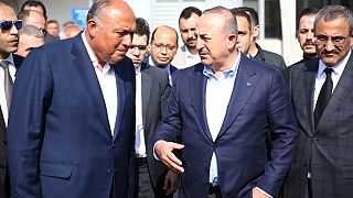 Mısır Dışişleri Bakanı Samih Şukri ile Dışişleri Bakanı Mevlüt Çavuşoğlu
