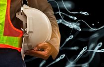 Workers who regularly lift or move heavy objects were found to have nearly 50 per cent higher sperm counts than desk-bound workers.