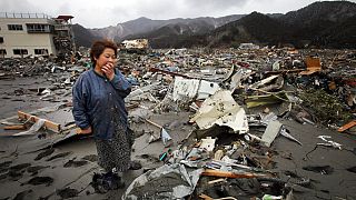 Japonya'nın Tohoku bölgesinde 11 Mart 2011'de meydana gelen deprem, ülkede bugüne kadarki en şiddetli deprem olarak kayıtlara geçti.