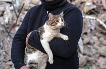 إنقاذ قط من تحت الأنقاض إثر الزلزال الذي ضرب سوريا
