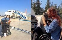 Pet owner Rumi flew back from Istanbul to Antakya with both legs in casts to be reunited with her cat.