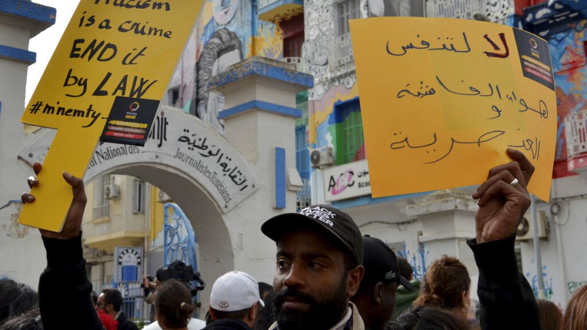 مظاهرة ضد تعليق الرئيس التونسي قيس سعيد على الهجرة، 25 فبراير 2023 في تونس العاصمة