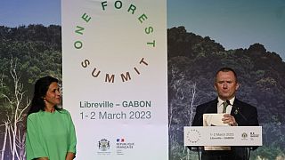 Gabon : coup d'envoi du sommet pour la protection des forêts