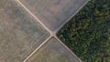 A section of Amazon rainforest stands next to soy fields in Belterra, Para state, Brazil. 