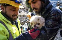 عمال الإنقاذ يقدمون الماء لكلب بعد عملية إنقاذ في هاتاي، جنوب تركيا. 2023/02/10
