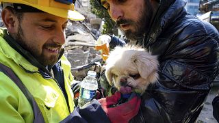 عمال الإنقاذ يقدمون الماء لكلب بعد عملية إنقاذ في هاتاي، جنوب تركيا. 2023/02/10