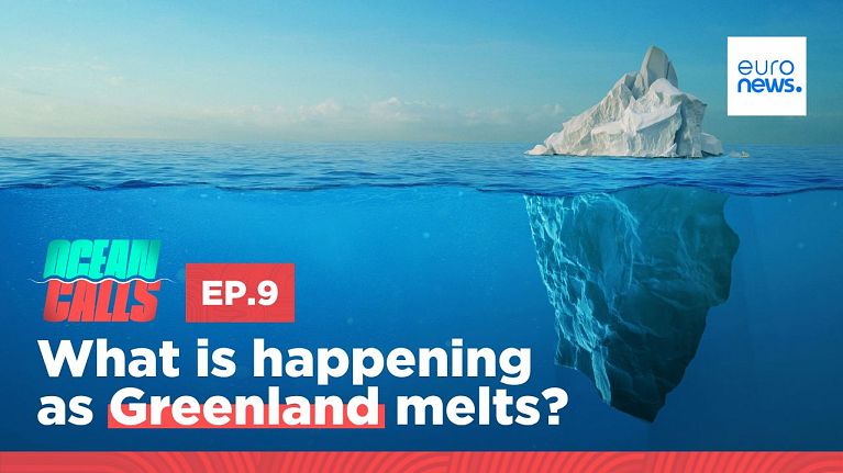 Ocean Calls. Episode 9.