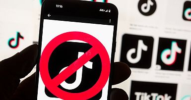 Which countries have banned TikTok and why? | Euronews