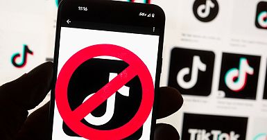 Which countries have banned TikTok and why?