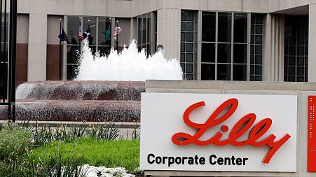 Eli Lilly said it would cut the list prices for its most commonly prescribed forms of insulin by 70 per cent by the end of this year.