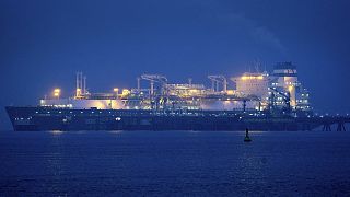The EU gas platform will allow companies to jointly buy supplies of LNG.