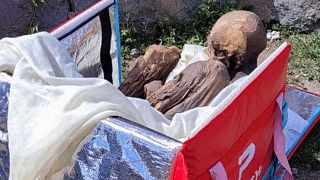 مومیایی یافت شده در محفظه پیک موتوری در پرو