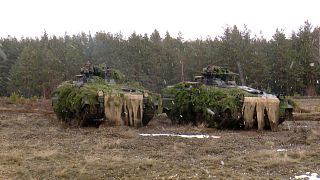 Военные ФРГ и Литвы на учениях