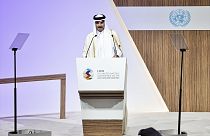 Katar Emiri Şeyh Temim bin Hamed Al Sani 
