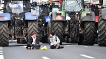 Belçikalı çiftçilerden protesto