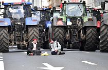 Belçikalı çiftçilerden protesto