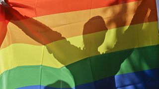 An activist in Ukraine's first gay pride demonstration seen through the rainbow flag during the action in Kyiv, Ukraine, Saturday, May 25, 2013. 