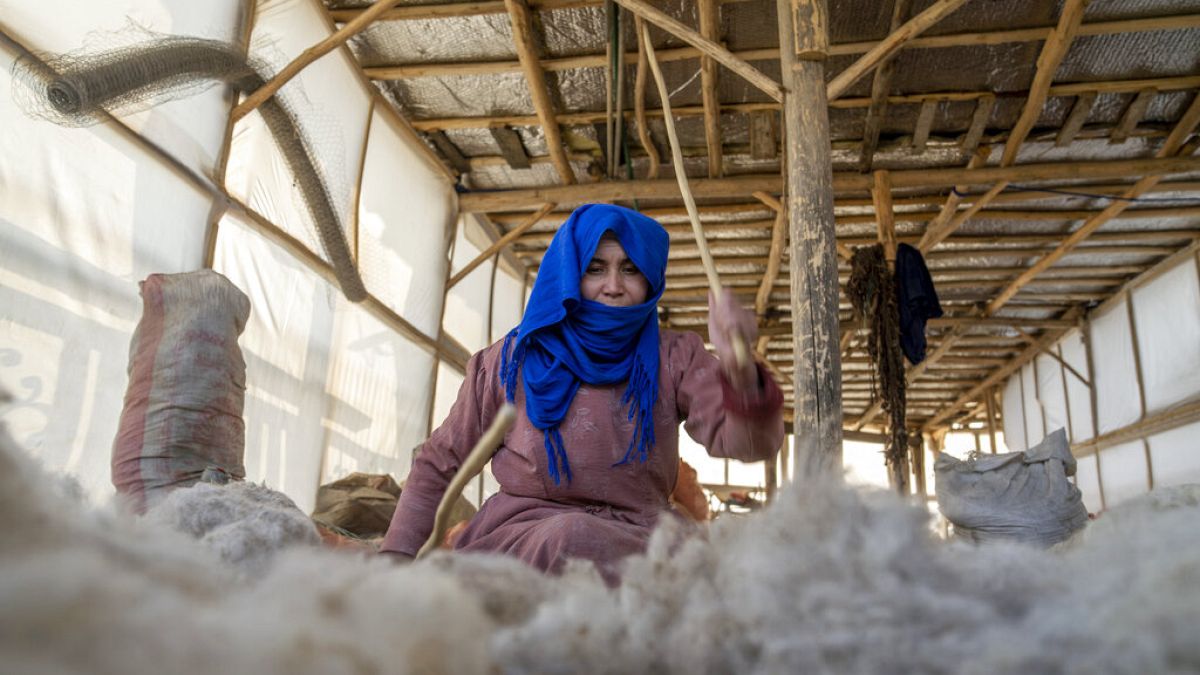 An Afghan woman cleans wools for making carpets at a traditional carpet factory in Kabul, Afghanistan, Sunday, March 5, 2023.