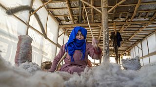 Афганская женщина работает с шерстью