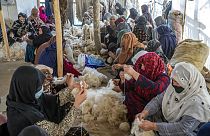 Illusztráció: afgán nők szőnyegszövéshez készítenek elő szálakat