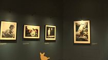 معرض يضم صوراً للملكة إليزابيث الثانية برفقة كلابها في لندن