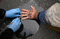 A policeman works on the hand of a man who has glued himself on the street in Berlin.   -