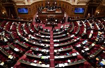 French senate joined on Thursday to vote on the bill.