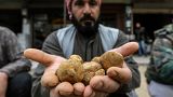 A merchant presents desert truffles at a stall in a market in the city of Hama in west-central Syria on March 6, 2023.