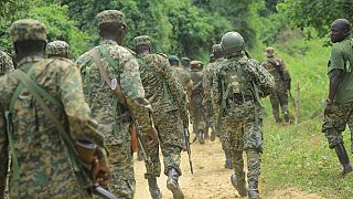 RDC : plus de 40 morts dans une nouvelle attaque attribuée aux ADF
