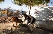 Bashir Ahmad is a vegetable seller from Khairpur, Sindh. His house was destroyed in the floods.