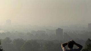 Ozon kirliliğiyle kalp hastalıkları arasında bağlantı tespit edildi