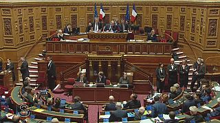 French Senate passes controversial pension reform