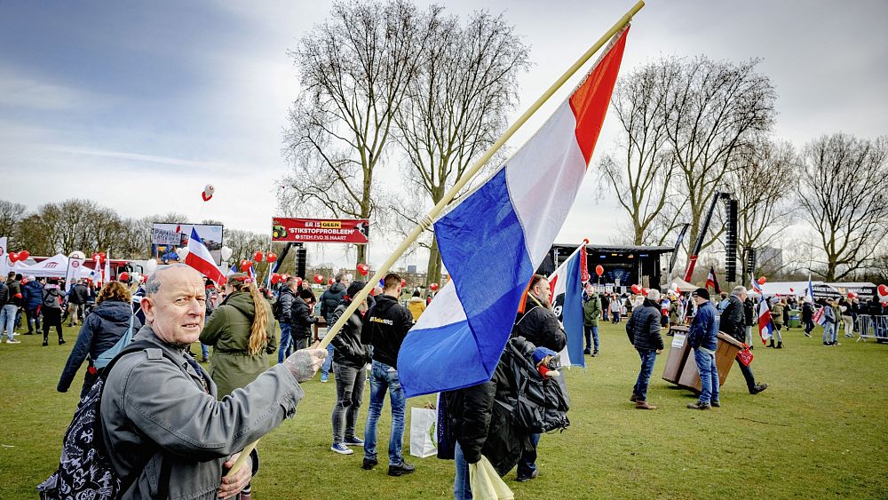 Dutch Farmers Protest Party Wins Victory in Provincial Election post image